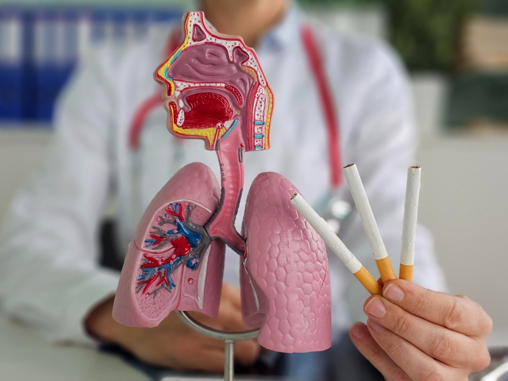 Médico ao fundo segura cigarros com uma das mãos ao lado de modelo anatômico do sistema respiratório em primeiro plano, ilustrando artigo sobre doenças que o cigarro causa