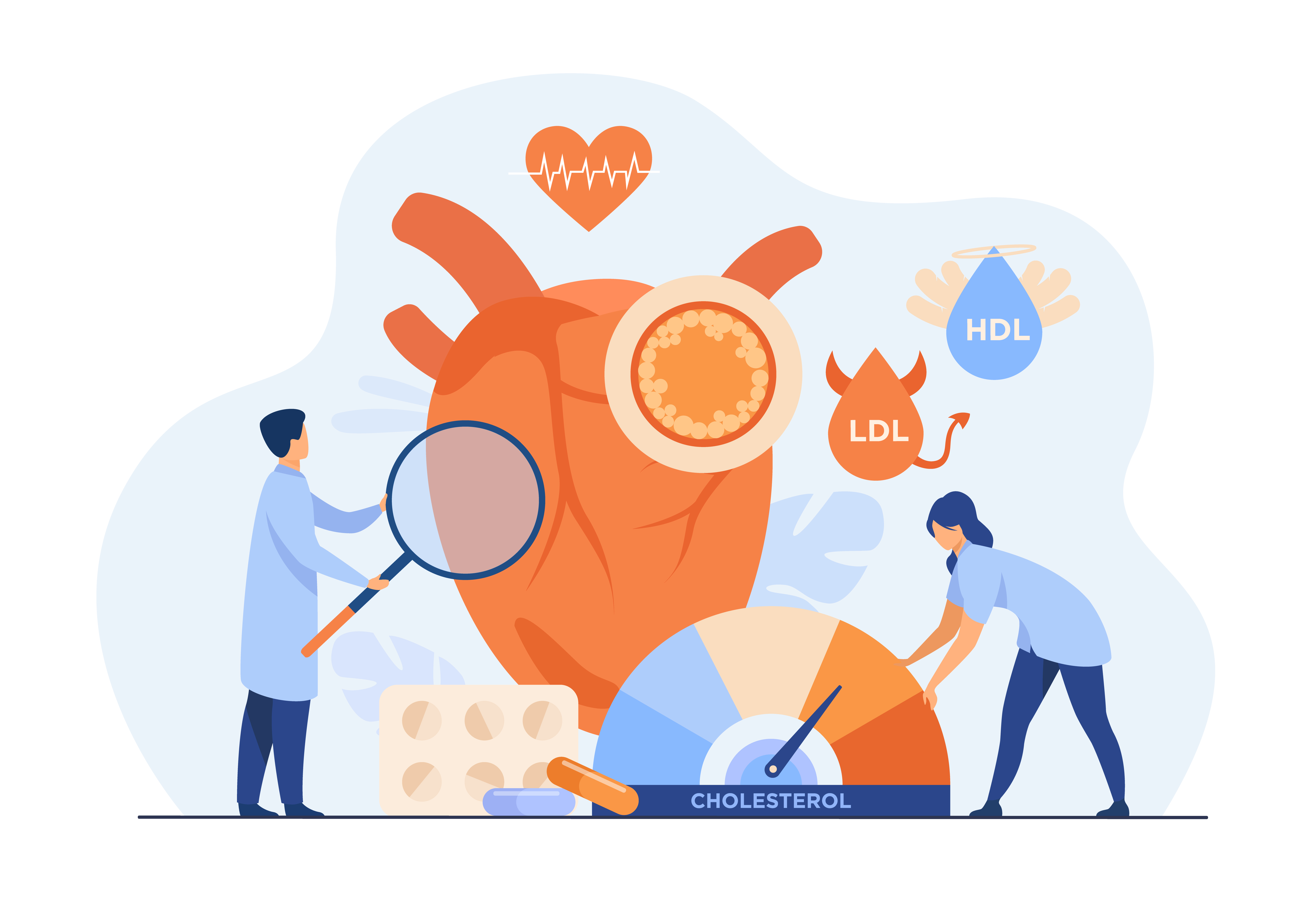 Heart disease risk concept. Medical examination of heart with high cholesterol, blood pressure and cardiovascular system problems. Flat vector illustration for medicine, health care, treatment concept Heart disease risk concept. Medical examination of heart with high cholesterol, blood pressure and cardiovascular system problems. Flat vector illustration for medicine, health care, treatment concept